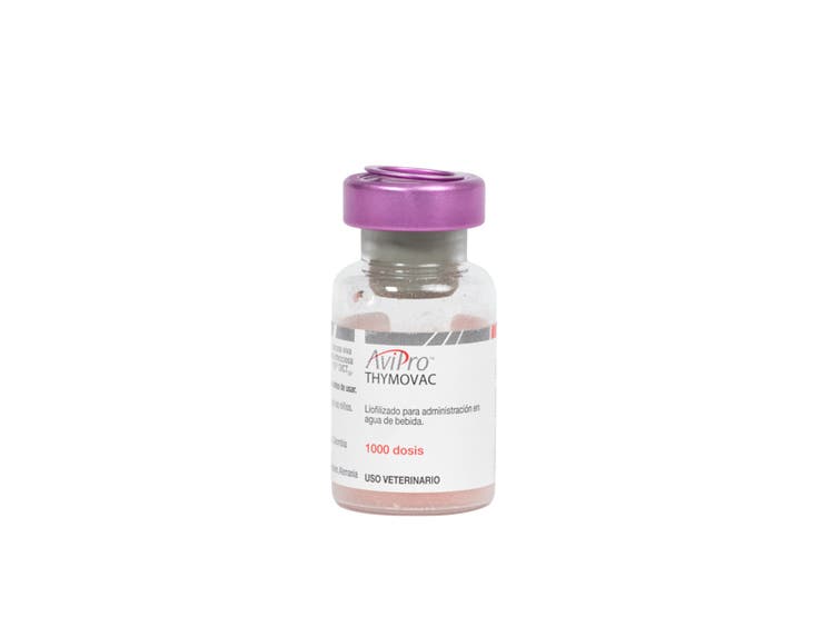 Producto_AviPro_Thymovac_Elanco 