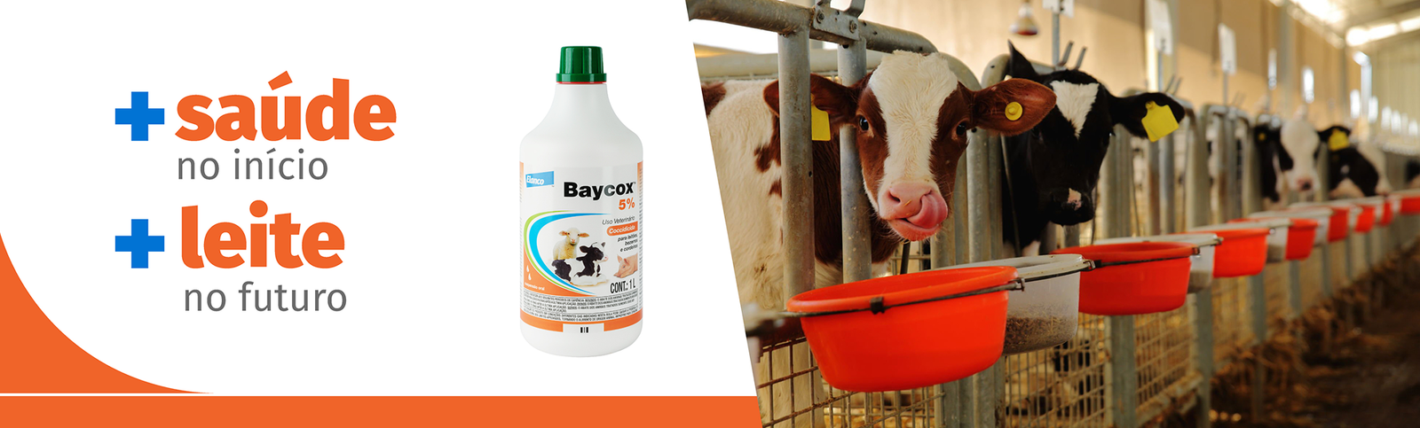 Baycox™ 5% Mais saúde no início, mais leite no futuro
