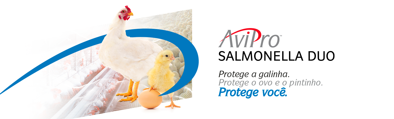 Banner Desktop AviPro Salmonella Duo