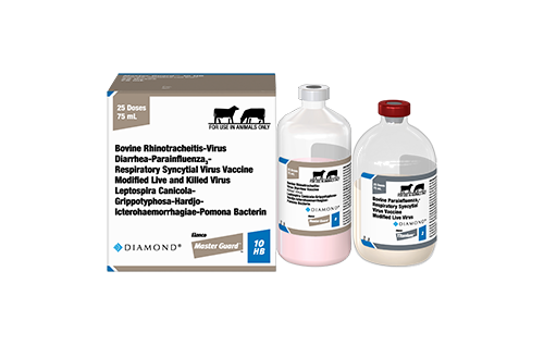 A white product carton with tan and blue accents for Diamond Master Guard 10 HB vaccine, alongside two frosted plastic bottles containing the vaccine components. One bottle contains a pink liquid and has a white cap; the other contains a white liquid and has a red cap.