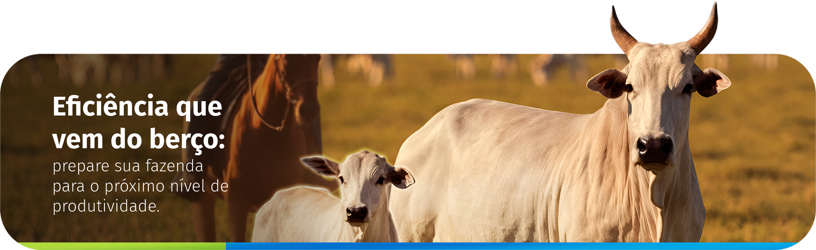 Cria Saudavel Banner Final