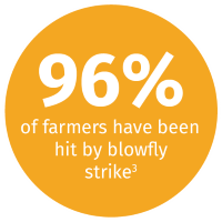 96% of farmers have been hit by blowfly strike