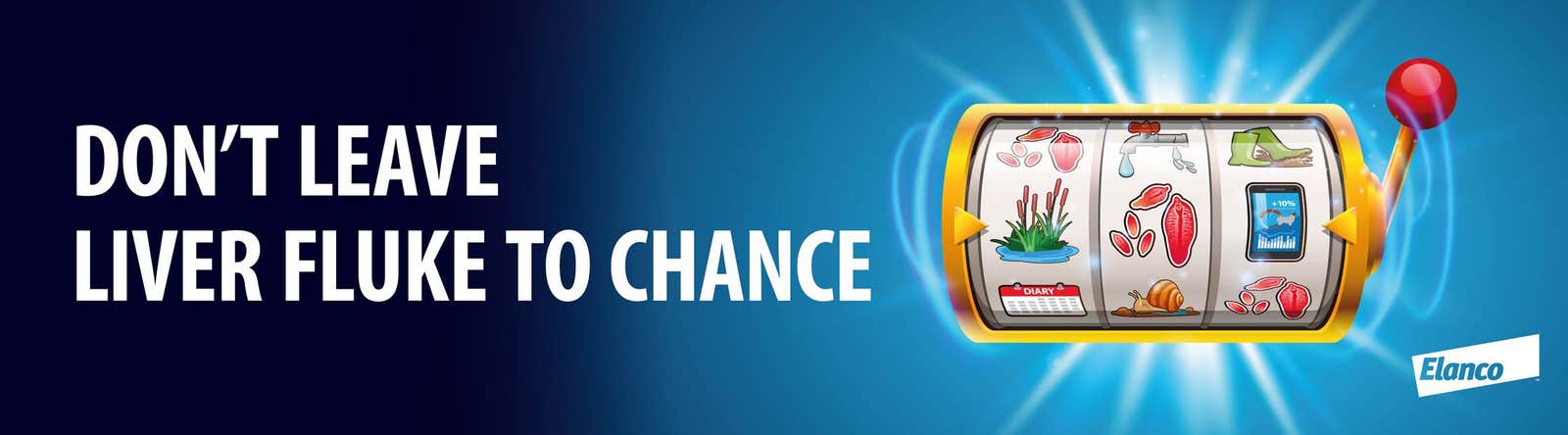 Don't leave liver fluke in cattle to chance