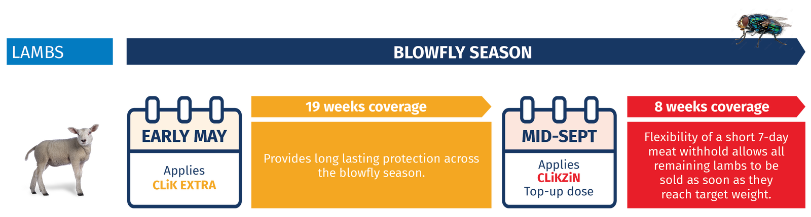 CLiK Extra and CLiKZiN for blowfly control in lambs