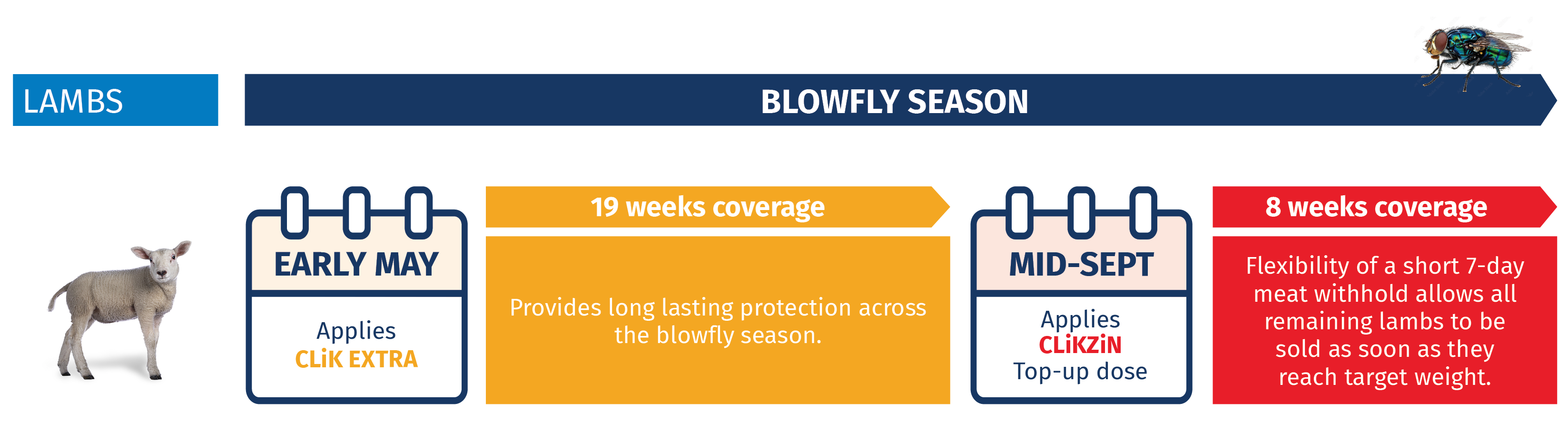 CLiK Extra and CLiKZiN for blowfly control in lambs