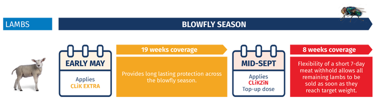 CLiK™ products for trusted and flexible blowfly prevention