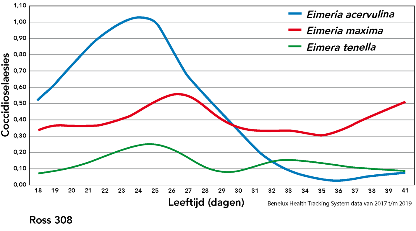 Grafiek darmgezondheid Ross 308