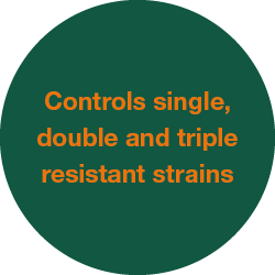 Zolvix Plus controls single, double and triple resistant strains