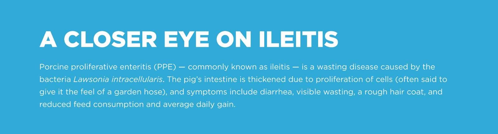 Ileitis Header Image