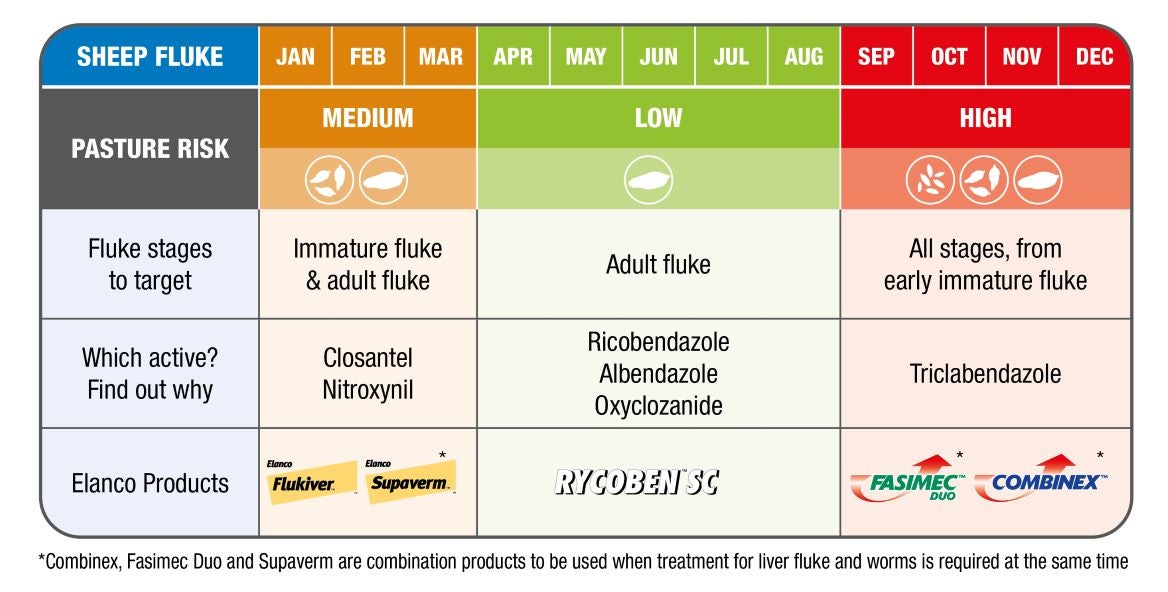 Sheep efficacy table of liver fluke products