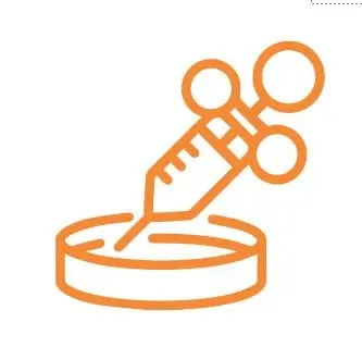 icon estudio