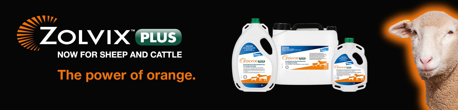 Zolvix Plus for Sheep | Elanco Australia