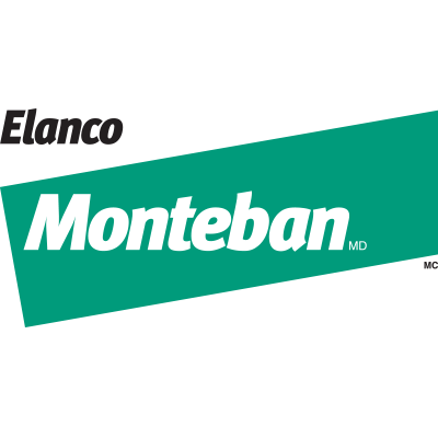 Logo Monteban.