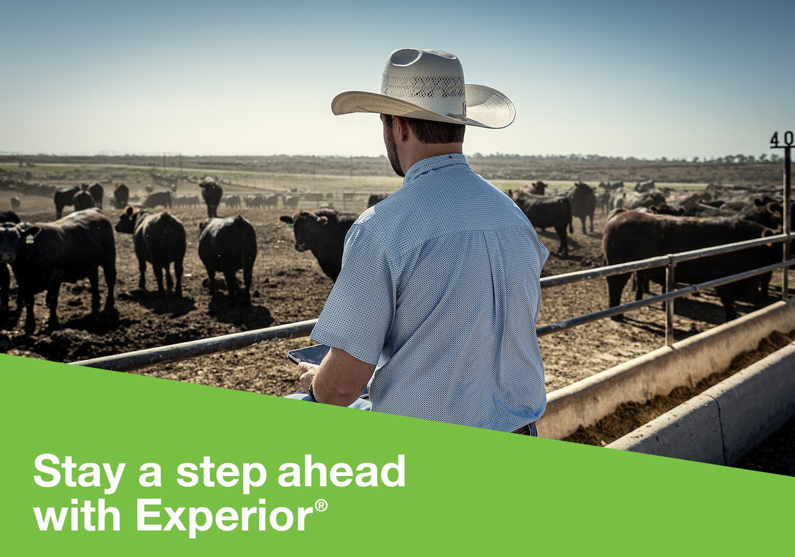 Experior Campaign Header