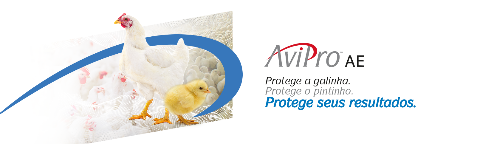 Banner AviPro AE