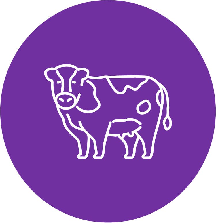 Rápida recuperação dos animais