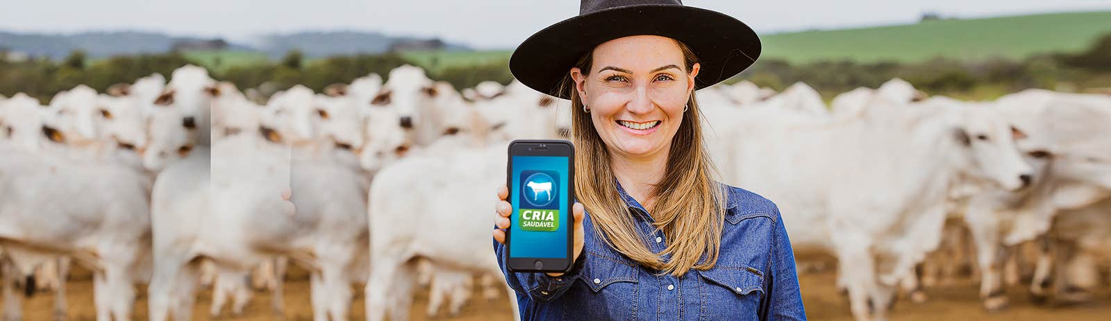 Gado ao fundo com mulher mostrando no celular uma página do Cria Saudável