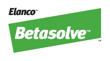 Betasolve Logo