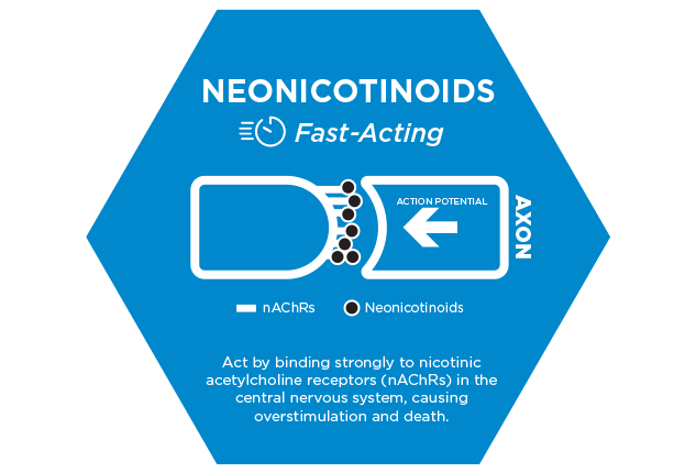 Chart showing insecticide class and neonicotinoids mode of action