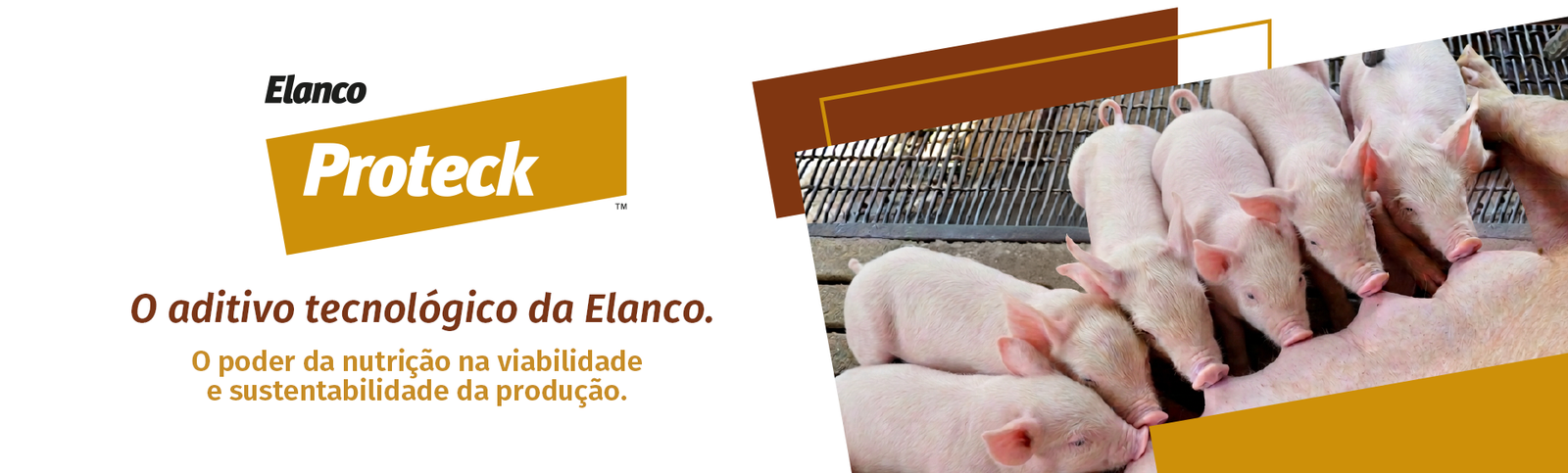 Banner Proteck Elanco Home