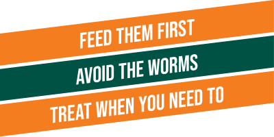 Good worm control
