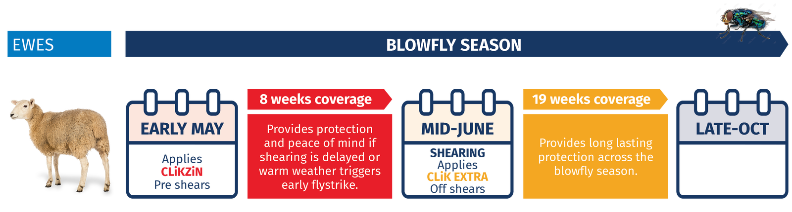 CLiKZiN and CLiK Extra for blowfly control