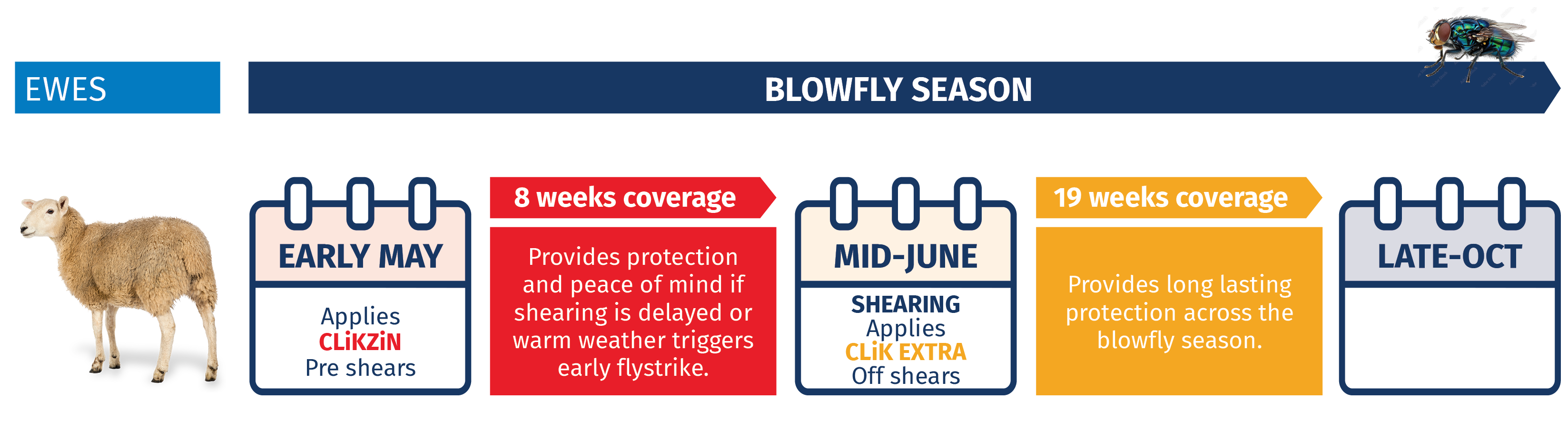 CLiKZiN and CLiK Extra for blowfly control
