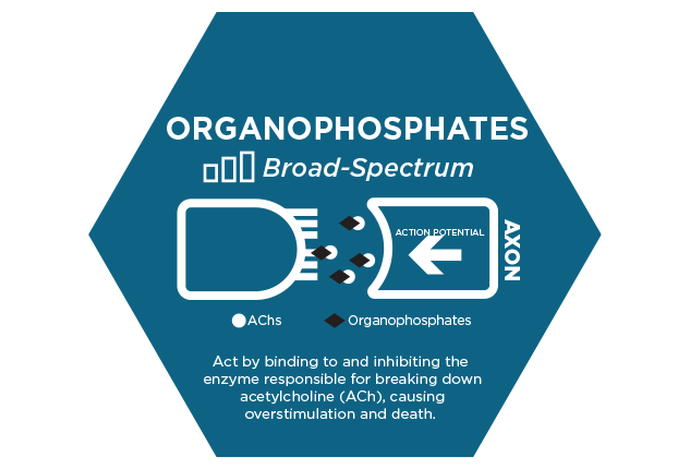 Chart showing insecticide class and organophosphates mode of action