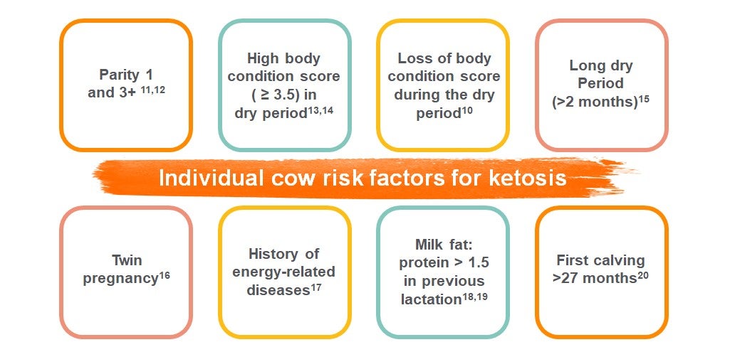 Risk factors of outliers being cows at risk of ketosis