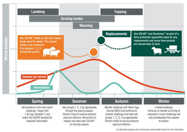 Sheep worm strategy for sustainable worm control slowing resistance development