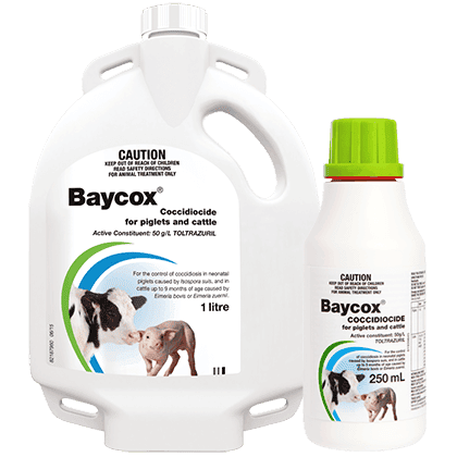 Baycox hero image