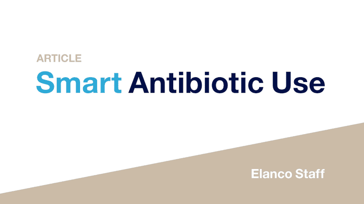 Smart Antibiotic Use article header