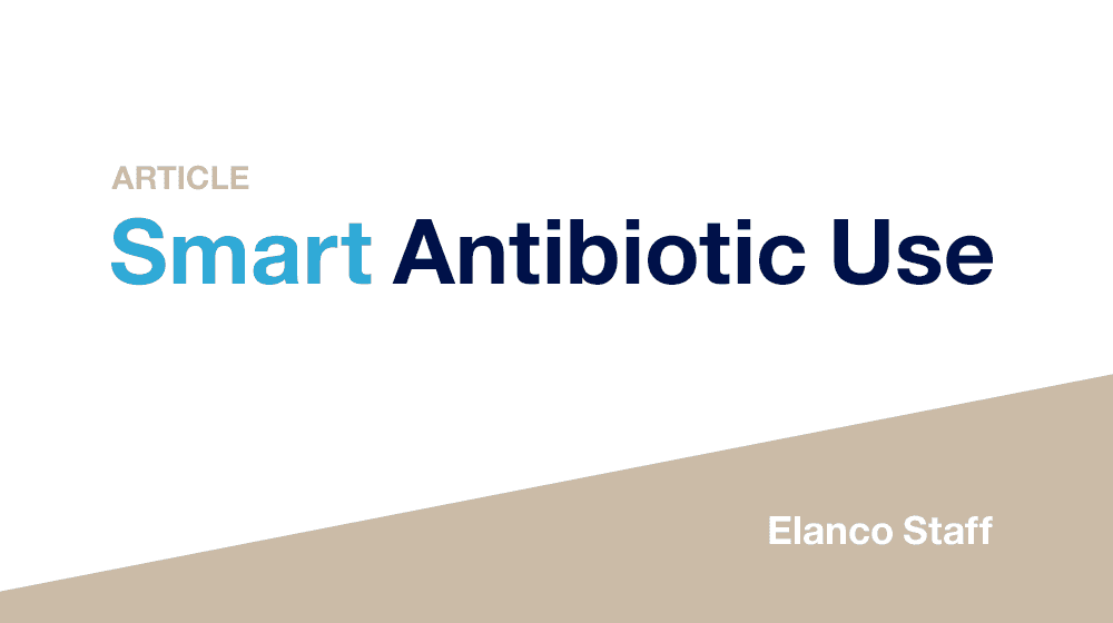 Smart Antibiotic Use article header
