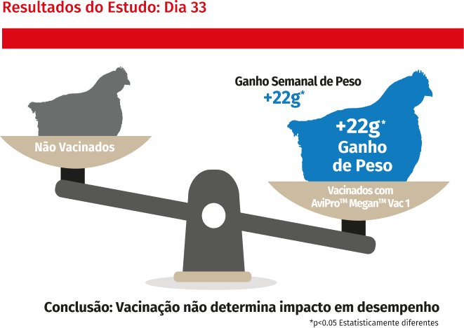 Grupo controle não desafiado - AviPro MeganVac 1
