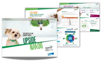 Credelio Dog post prescription leaflet