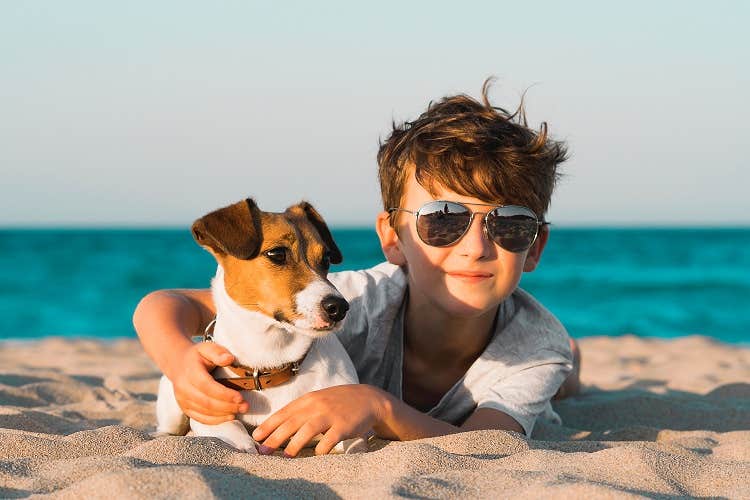 Jack russel hund omfavnes af dreng på stranden