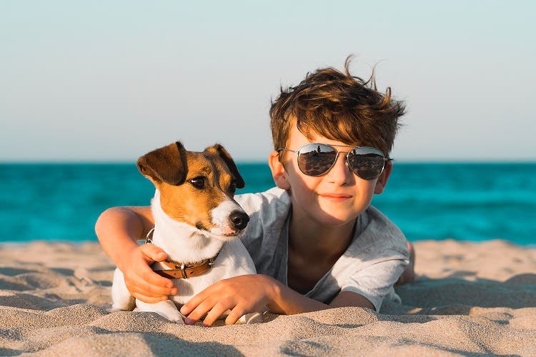Jack russel hund omfavnes af dreng på stranden