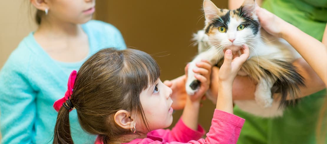 Two young girls petting a cat inside a shelter.