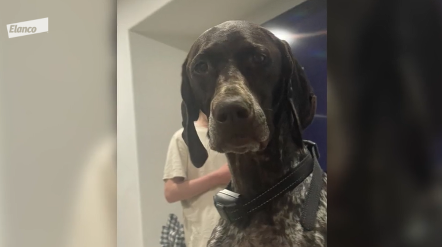 River's Story