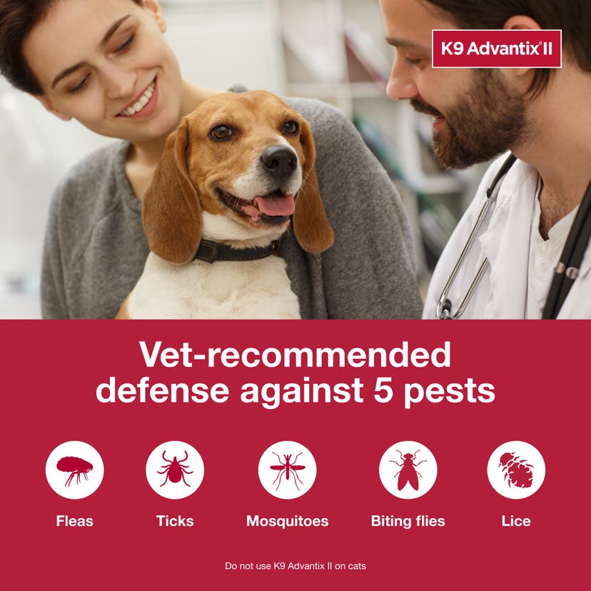 K9 Advantix II is vet recommended for defense against fleas, ticks, mosquitos, biting flies, and lice in dogs.