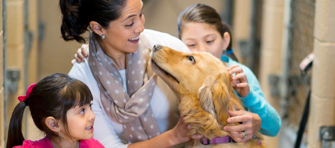 Two young children petting a dog in a shelter with their parent.