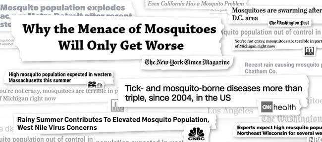 An image of newspaper headlines about mosquito season