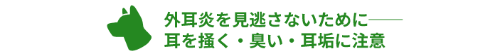 外耳炎を見逃さないために──
耳を掻く・臭い・耳垢に注意