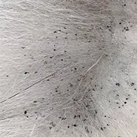 Flea dirt