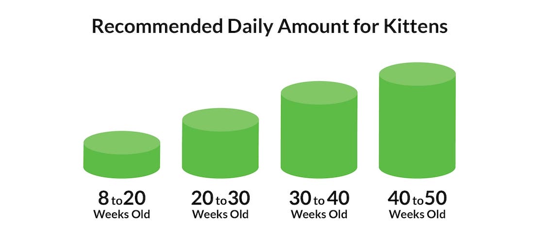 A chart of kitten feeding recommendations based on age.