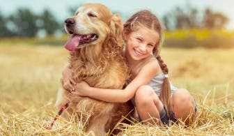 Girl cuddling Golden Retriever dog