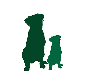 Advantage for dogs adult and puppy icon