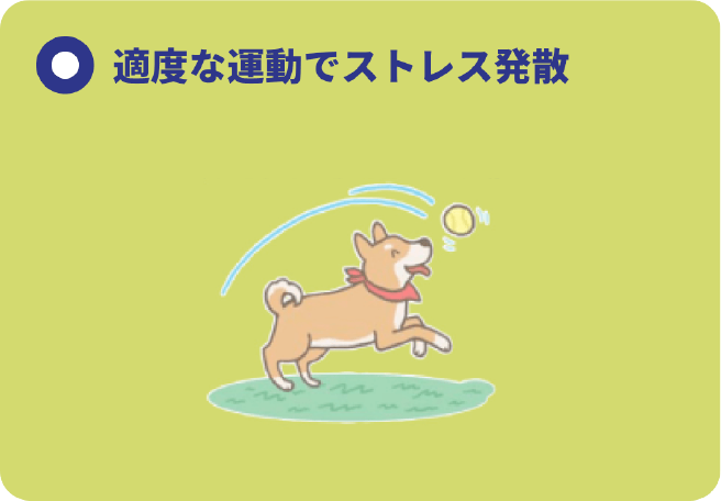 適度な運動でストレス発散