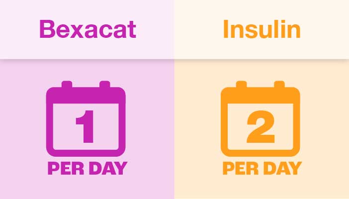 Bexacat: Insulin-Free Feline Diabetes Treatment | Elanco