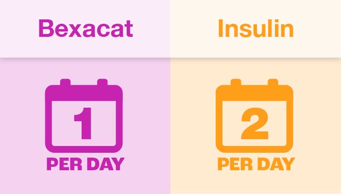 Bexacat once per day and insulin twice per day comparison